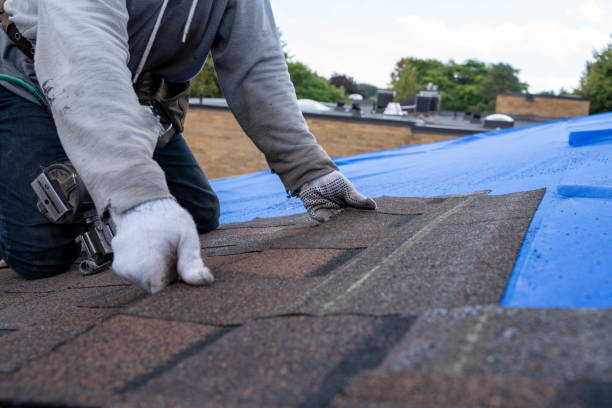 Roof Gutter Cleaning in Georgetown, CA